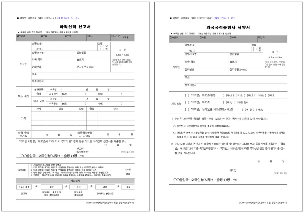 22세 이전 선천적 이중국적자 국적선택 신고 절차 완벽 정리 1