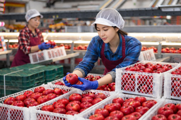 식품 유통전문판매업 등록 절차 요건 신고 대행